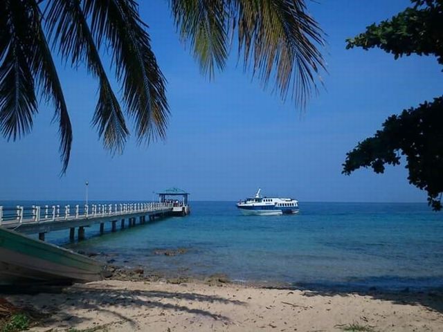 マレーシアの隠れたダイビングスポット ティオマン島 東南アジアでダイビング