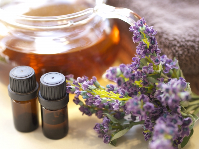 f:id:kaigaihoujin:20161122125059j:plain f:id:kaigaihoujin:20161122125059j:plain