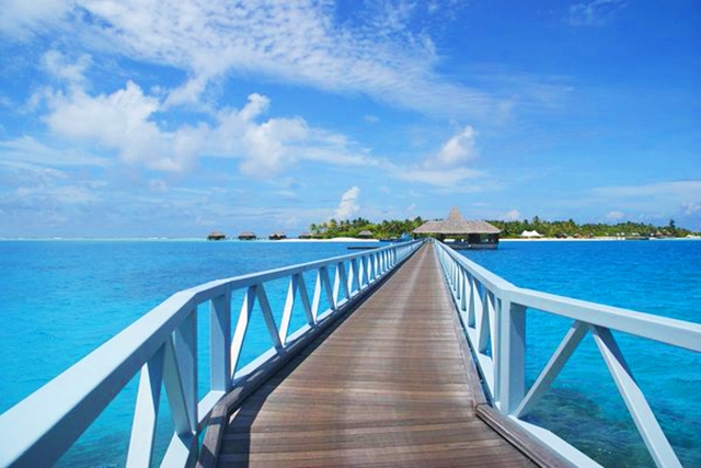 f:id:kaigaihoujin:20180918153836j:plain