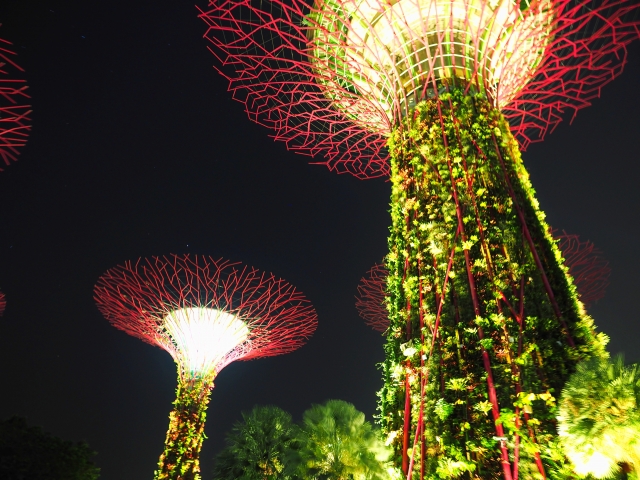 f:id:kaigaihoujin:20200317153136j:plain