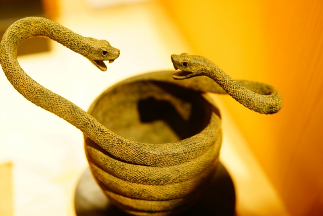 f:id:kaigaihoujin:20201020214429j:plain