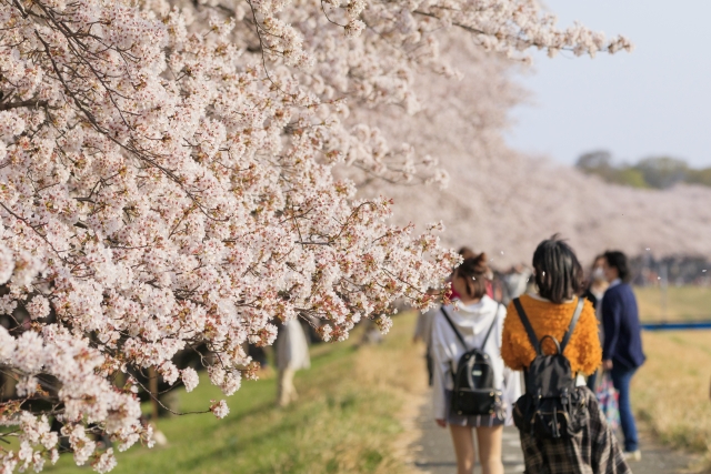 f:id:kaigaihoujin:20210328173650j:plain