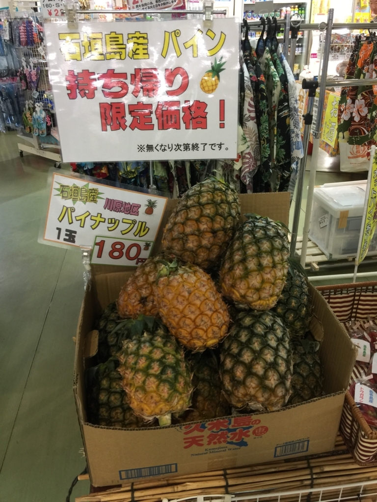 f:id:kaigaiijyu:20180730165946j:plain