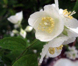 f:id:kaihuuinternet:20080716040209j:image f:id:kaihuuinternet:20080716040209j:image