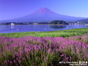 f:id:kaihuuinternet:20080717010911j:image