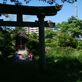 f:id:kaihuuinternet:20170702023717g:image