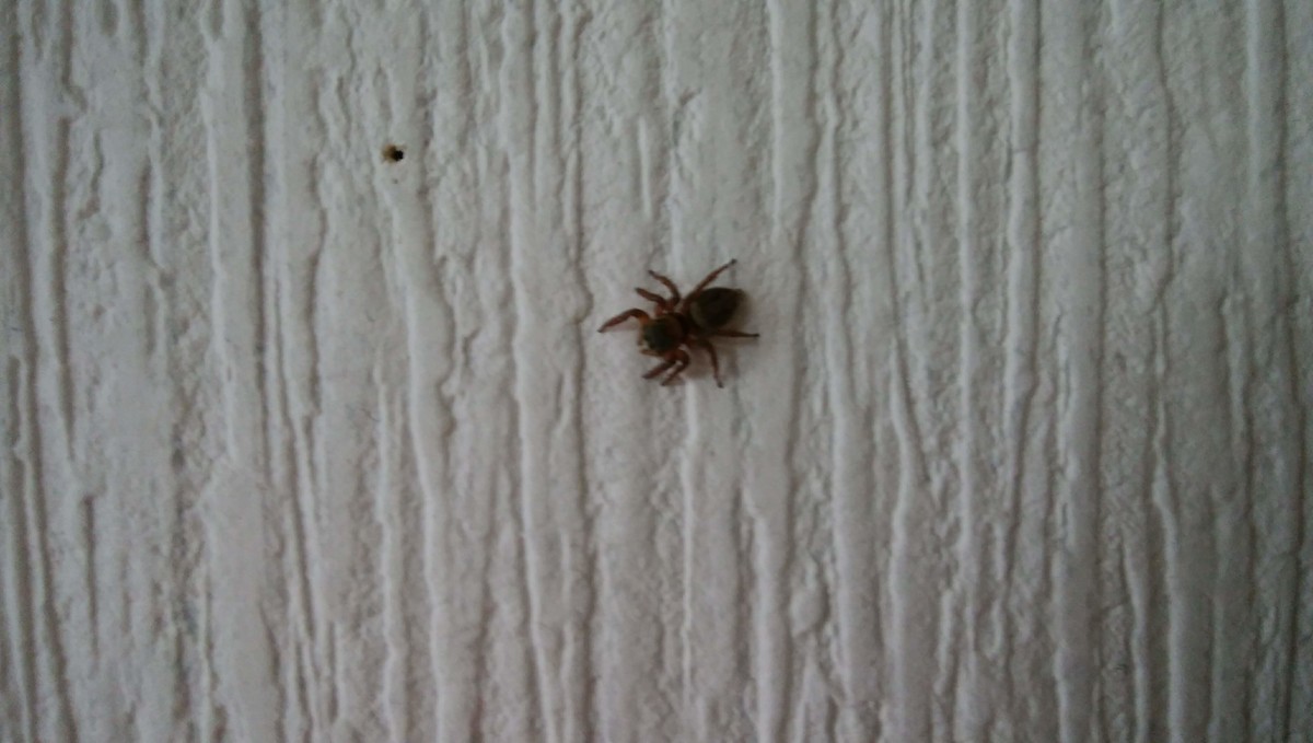 f:id:kaihuuinternet:20190611151311j:plain f:id:kaihuuinternet:20190611151311j:plain