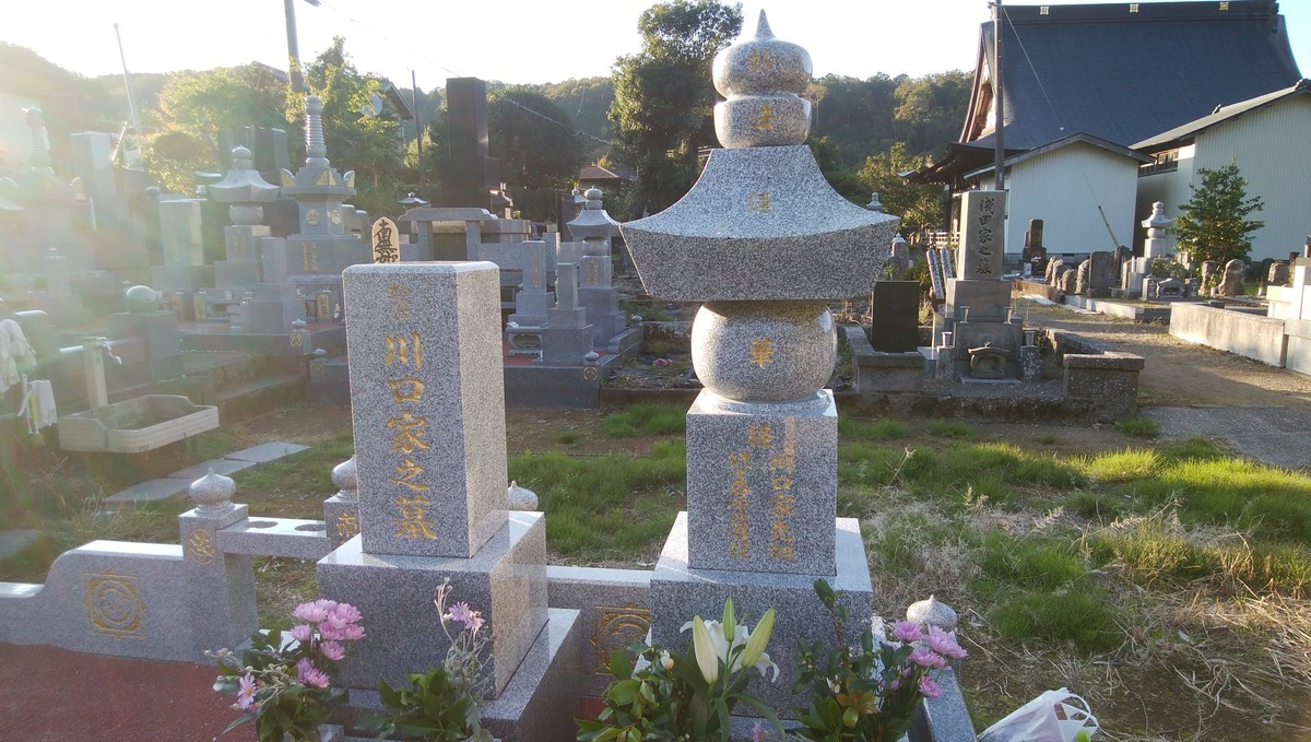 f:id:kaihuuinternet:20191110152635j:image