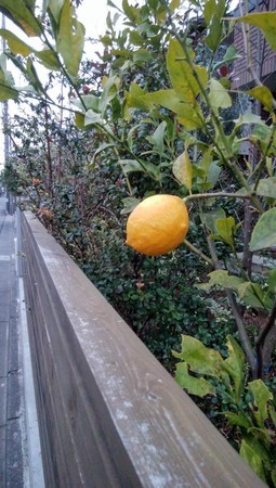 f:id:kaihuuinternet:20200304173147j:image