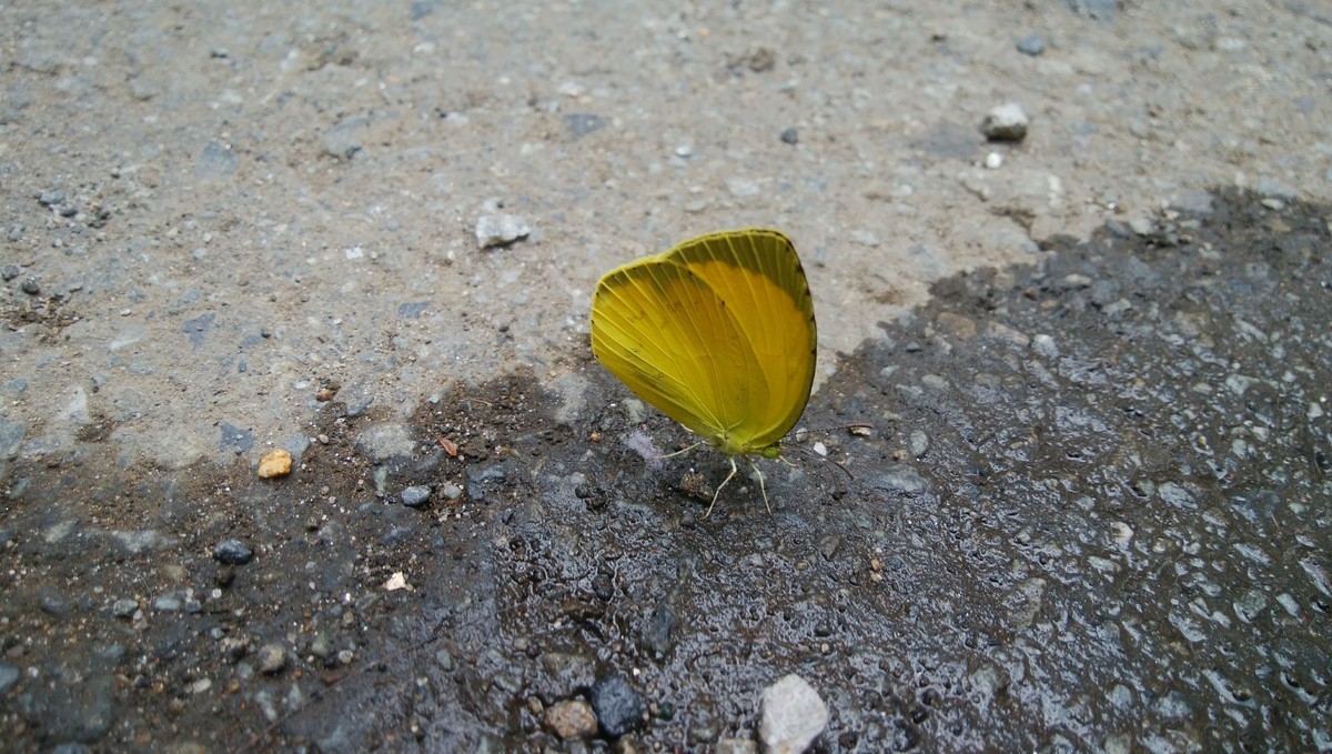 f:id:kaihuuinternet:20210831115600j:plain