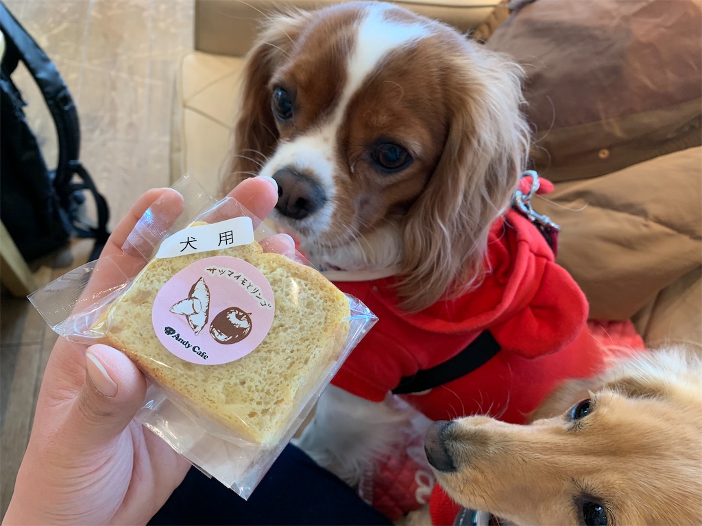 f:id:kaijyu-pancake:20220214170913j:image f:id:kaijyu-pancake:20220214170913j:image