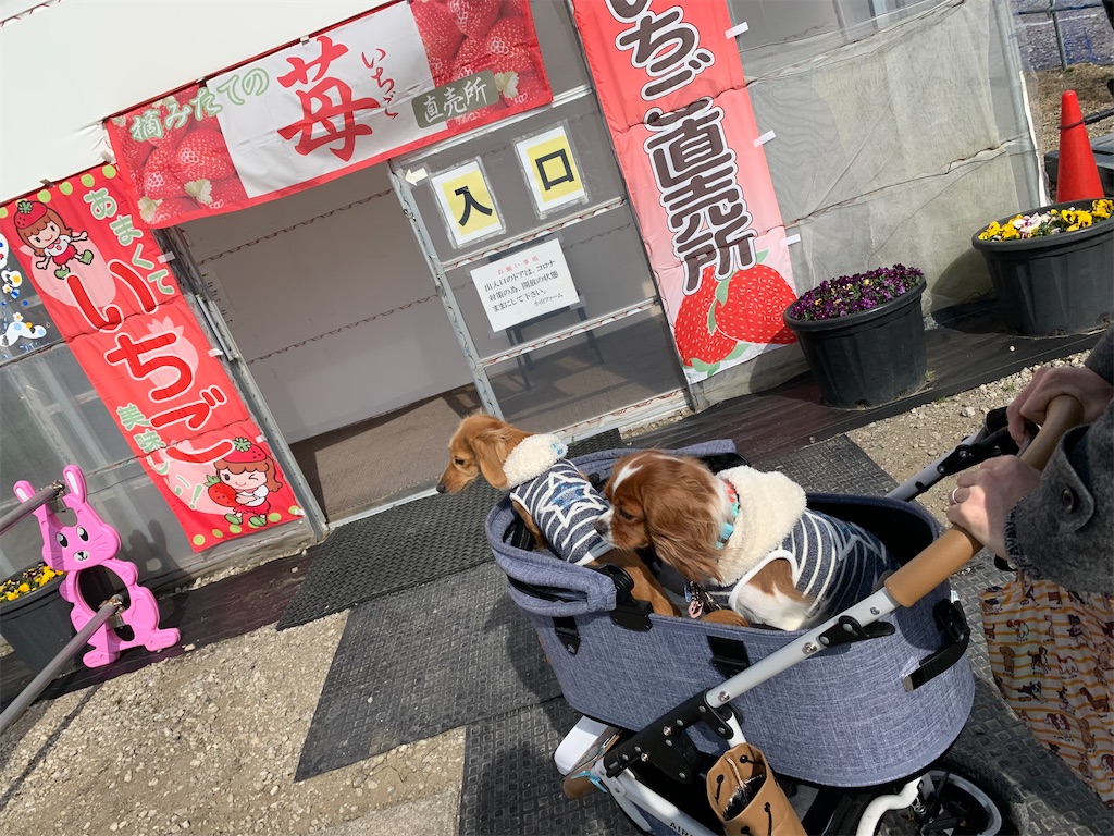 f:id:kaijyu-pancake:20220224205448j:image f:id:kaijyu-pancake:20220224205448j:image