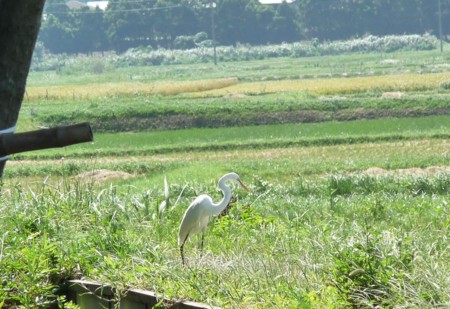 f:id:kaikaon:20090920222614j:image