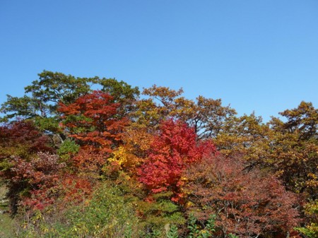 f:id:kaikaon:20091029132901j:image f:id:kaikaon:20091029132901j:image