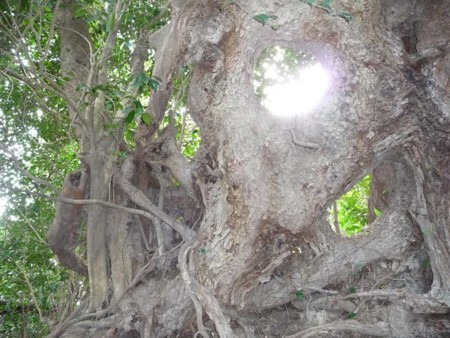 f:id:kaikaon:20100328100109j:image