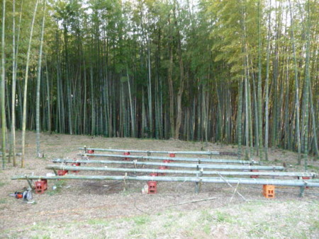 f:id:kaikaon:20100429173525j:image