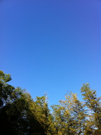 f:id:kaikaon:20101102075645j:image