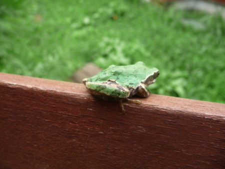 f:id:kaikaon:20110827151142j:image f:id:kaikaon:20110827151142j:image