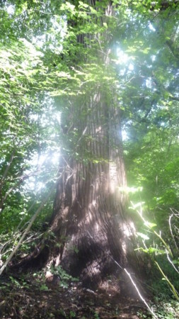 f:id:kaikaon:20110828095430j:image f:id:kaikaon:20110828095430j:image