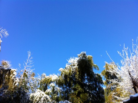 f:id:kaikaon:20120124084249j:image