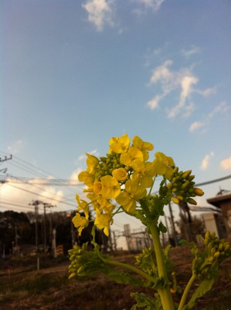 f:id:kaikaon:20120314163232j:image