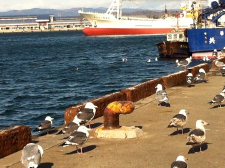 f:id:kaikaon:20120319085438j:image