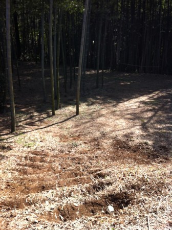 f:id:kaikaon:20120401135055j:image f:id:kaikaon:20120401135055j:image