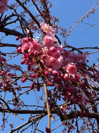 f:id:kaikaon:20120404144734j:image