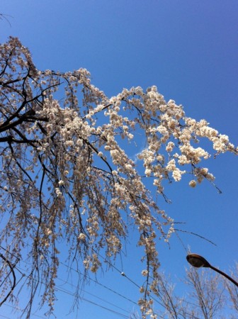 f:id:kaikaon:20120404144805j:image