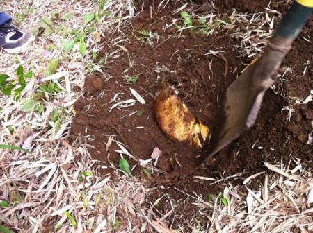 f:id:kaikaon:20120421102757j:image