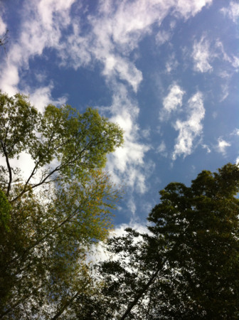 f:id:kaikaon:20120504134513j:image