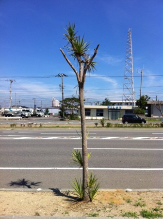 f:id:kaikaon:20120816094219j:image