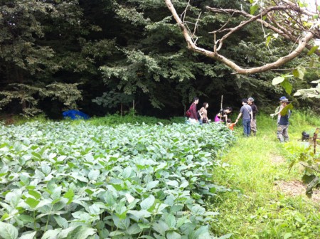 f:id:kaikaon:20120929104755j:image