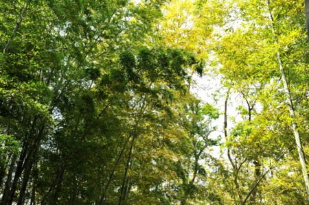 f:id:kaikaon:20130429112058j:image