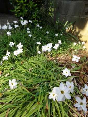 f:id:kaikaon:20150330154436j:image