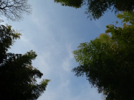 f:id:kaikaon:20150330154549j:image