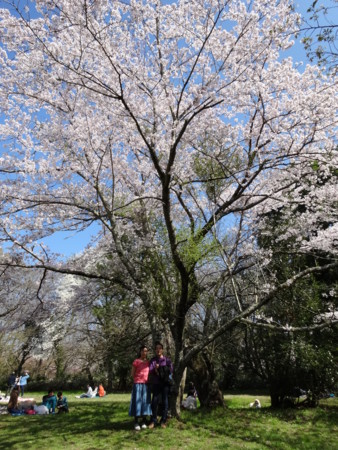 f:id:kaikaon:20150402134327j:image