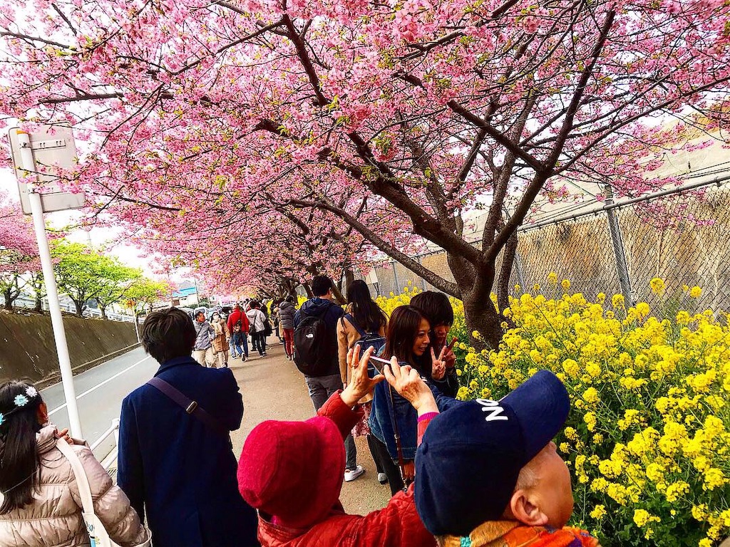 f:id:kaiki-suzuki:20190315184027j:image f:id:kaiki-suzuki:20190315184027j:image