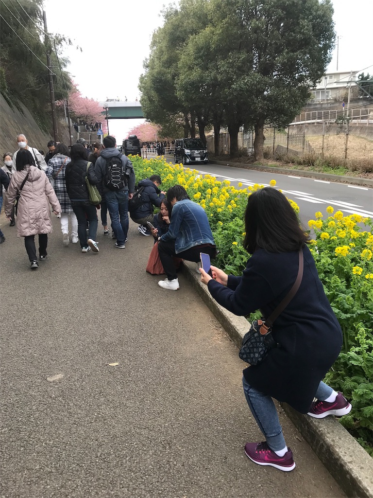 f:id:kaiki-suzuki:20190315190043j:image f:id:kaiki-suzuki:20190315190043j:image