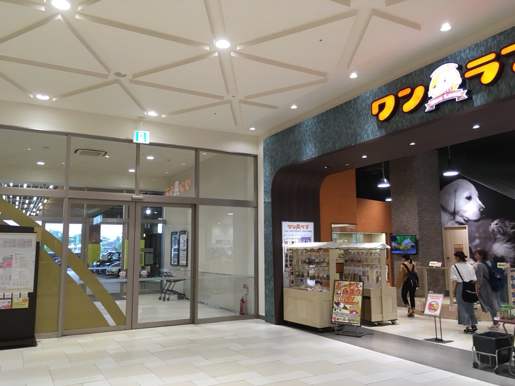 f:id:kaikityou:20190706001921j:plain