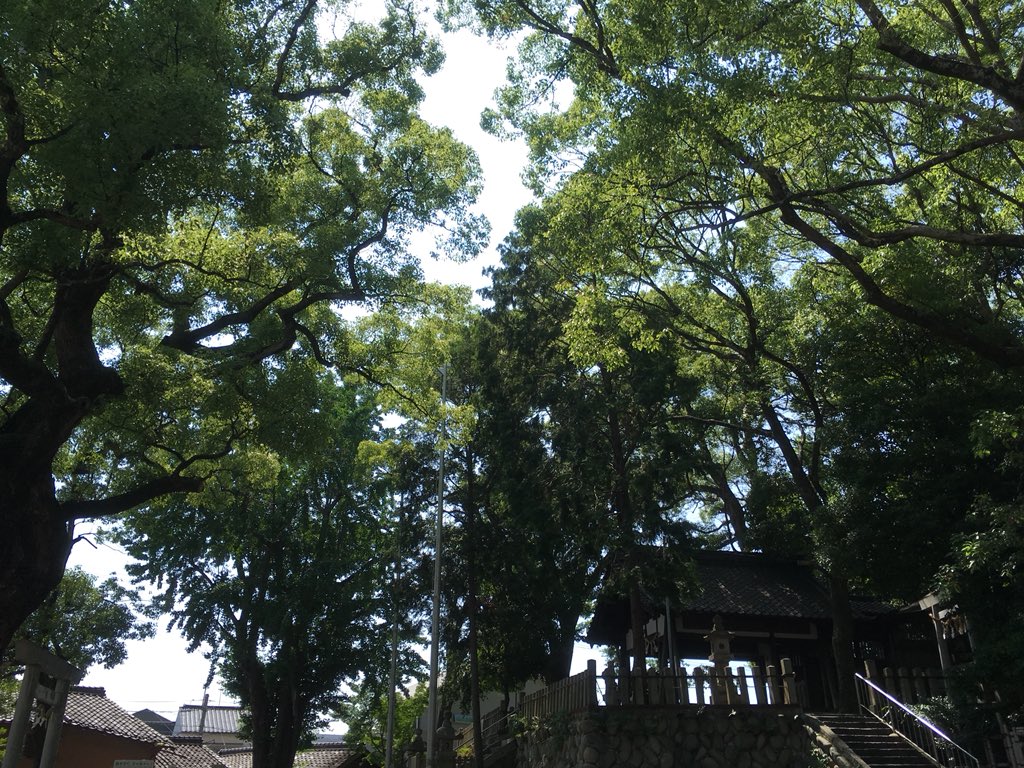 f:id:kaikityou:20190706011059j:plain