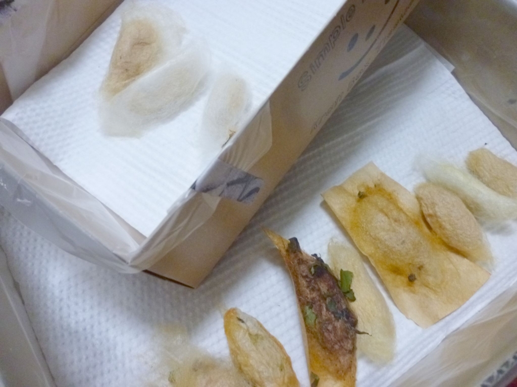 f:id:kaikoholic:20180706004833j:plain f:id:kaikoholic:20180706004833j:plain