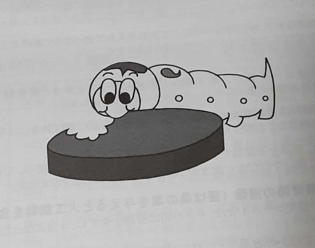 カイコの一生 稚蚕期-3 カイコの2眠・脱皮・3令