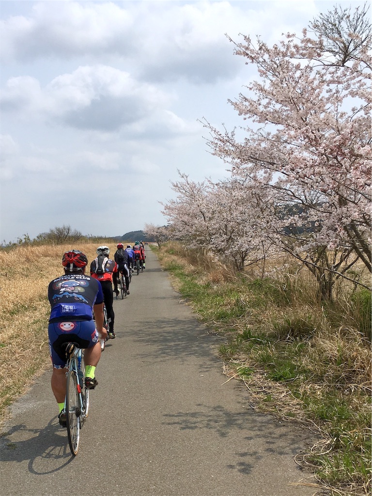 吉高の大桜自転車経路