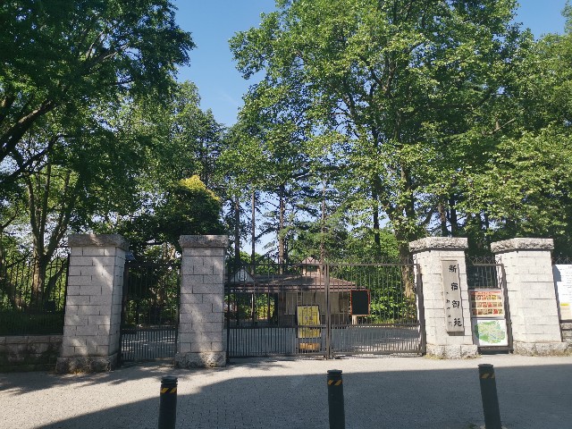 f:id:kaina0121:20200518113540j:image f:id:kaina0121:20200518113540j:image