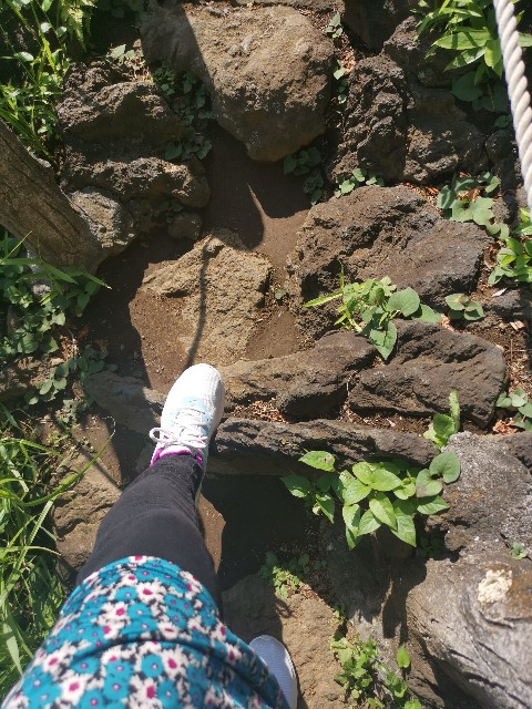 f:id:kaina0121:20200518113756j:image f:id:kaina0121:20200518113756j:image