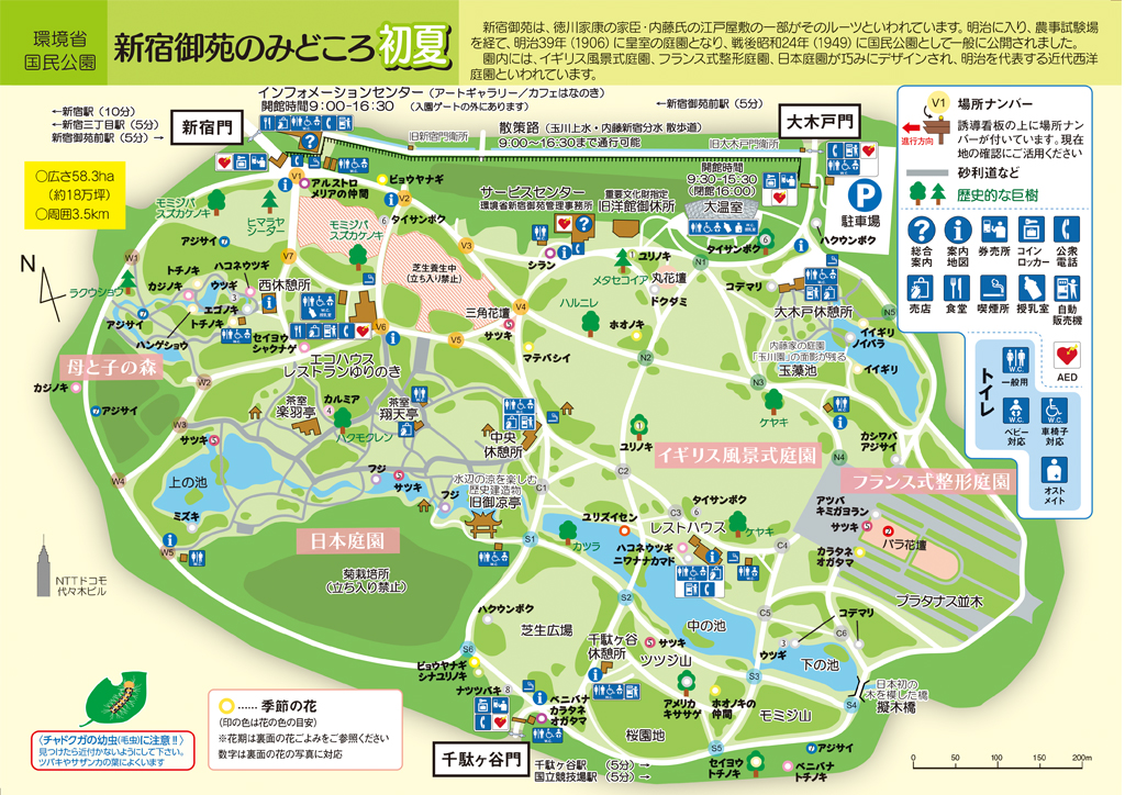 f:id:kaina0121:20200519131535j:plain f:id:kaina0121:20200519131535j:plain