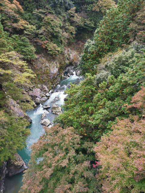 f:id:kaina0121:20201102200511j:image f:id:kaina0121:20201102200511j:image