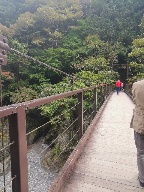 f:id:kaina0121:20201102200738j:image f:id:kaina0121:20201102200738j:image