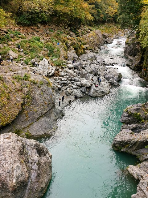 f:id:kaina0121:20201102200924j:image f:id:kaina0121:20201102200924j:image